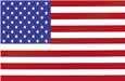 USA Flag Poster